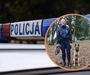 Funkcjonariusz na czterech łapach wesprze gdyńskich policjantów.