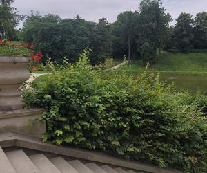 Zamojski Park Miejski.  Czy wiesz o nim wszystko?