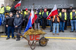 Poznań. Ogólnopolski protest rolników