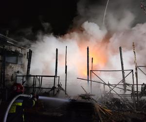 Pożar hali z materiałami budowlanymi. Spłonęły też samochody. 12 zastępów straż w akcji