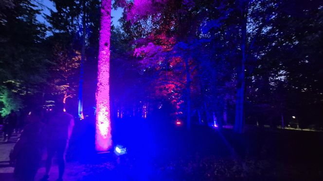 Olsztyn zamienił się w magiczną krainę. Park Świateł przyciągnął tłumy!