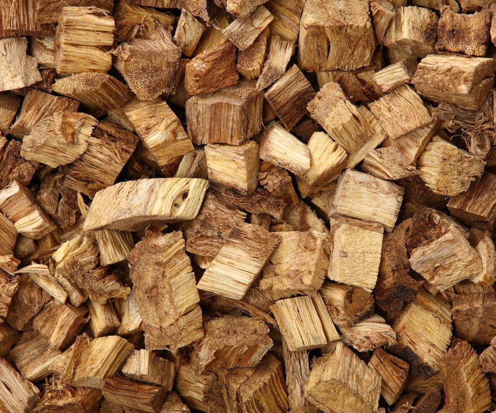 Korzeń kudzu to naturalny środek do walki z nałogiem. Reguluje trawienie i ciśnienie krwi