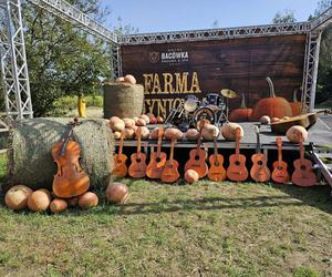 Ogromna Farma Dyniowa w Radawie 