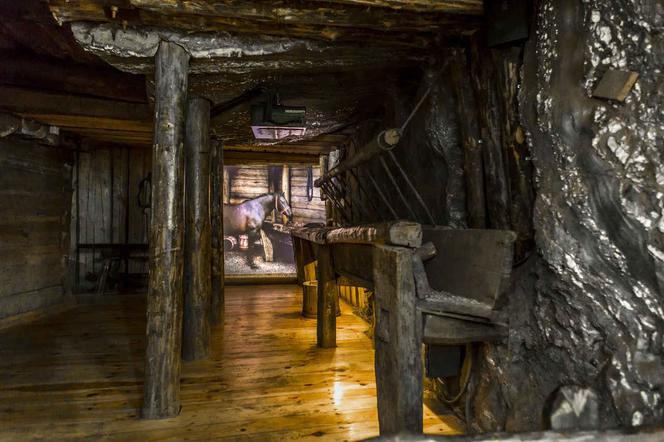 Odkryj najstarszą kopalnię w Polsce