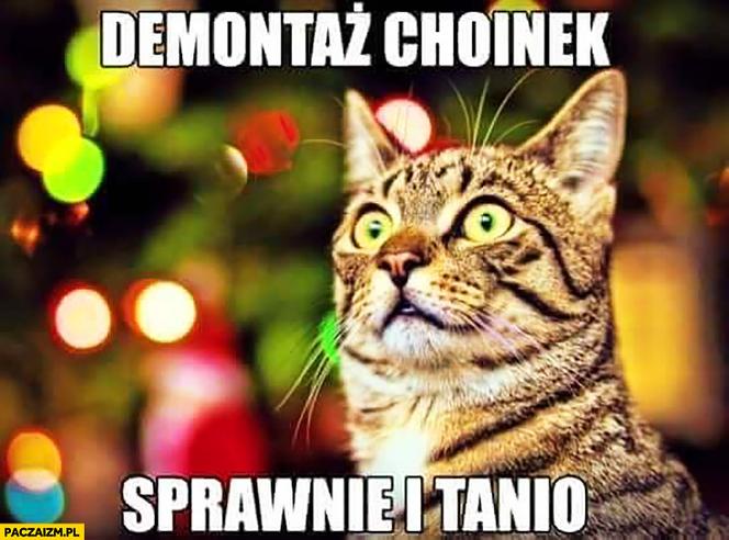 Memy bożonarodzeniowe 2025: Najlepsze świąteczne obrazki, które poprawią Ci humor!