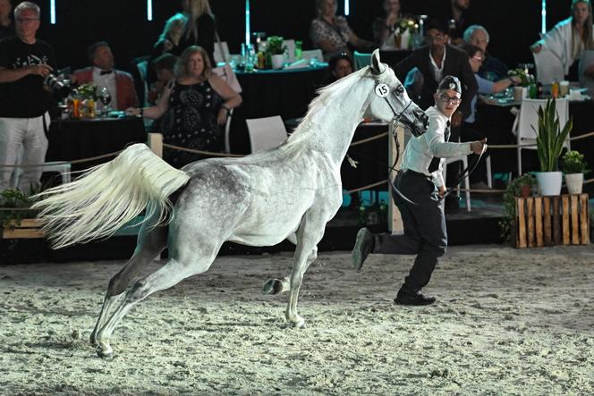 Porażka Pride of Poland 2024? Zyski są zdecydowanie niższe niż rok temu