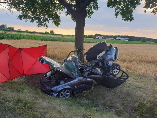 Śmiertelny wypadek pod Zgierzem. Dwóch mężczyzn zginęło w roztrzaskanym BMW. Policja szuka świadków 