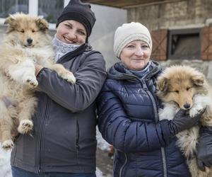 Rolnicy. Podlasie. Emilia Korolczuk i jej Ranczo Laszki