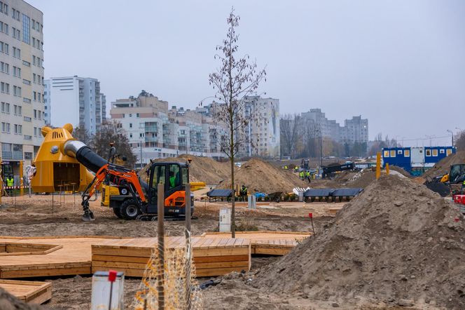 Pierwsze drzewa w parku nad obwodnicą na Ursynowie