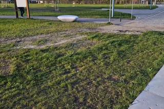 Nowa atrakcja nad Wisłą w Fordonie. Społecznicy pokazują, gdzie będzie pięć takich miejsc