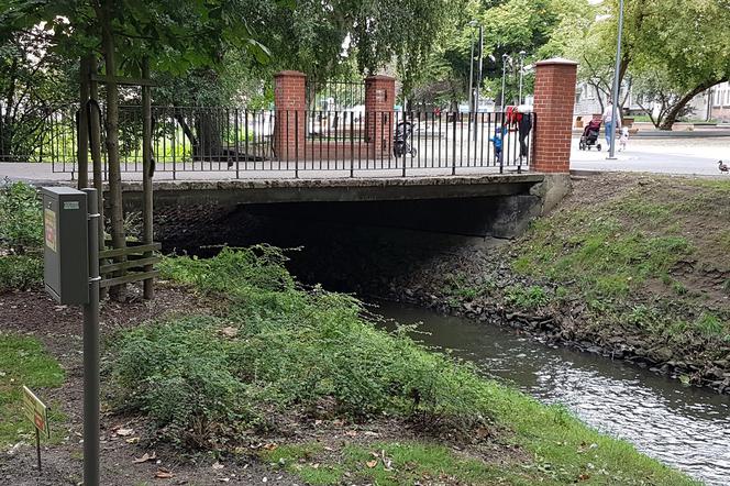 Gorzów park 