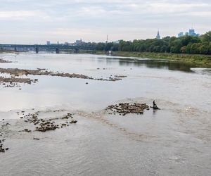 Wisła w Warszawie 27 sierpnia 2025 rano