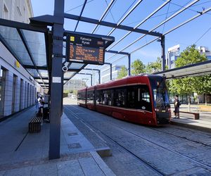 Katowice jak patelnia. Obowiązuje ruch cieniostronny. Nawet gołębie chowają się w cieniu