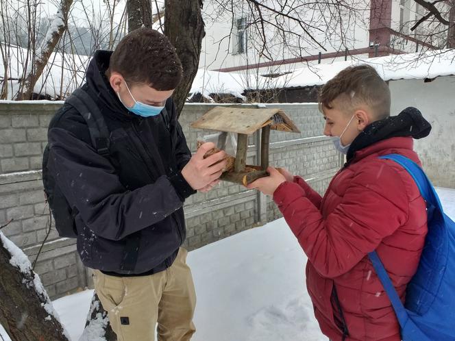 Moda na karmniki. W Starachowicach pomagają ptakom przetrwać zimę