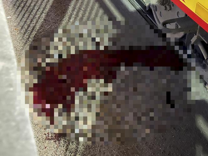 Makabryczny wypadek na Żoliborzu. 17-latka ciągnięta przez tramwaj. Ulicę zalała krew