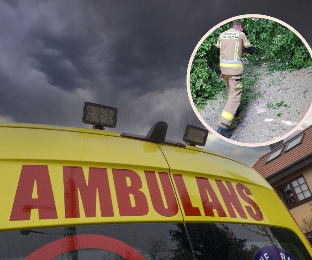 Wypadek na wycieczce szkolnej w Kazimierzu Dolnym. Na dzieci i ich opiekunów spadła gałąź