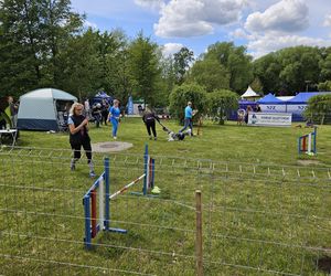 Festiwal Przyjaciół Zwierząt w Olsztynie. Park Centralny opanowały radosne pieski