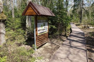 Na Podlasiu leży największy park narodowy w Polsce. Te jego atrakcje przyciągają jak magnes!