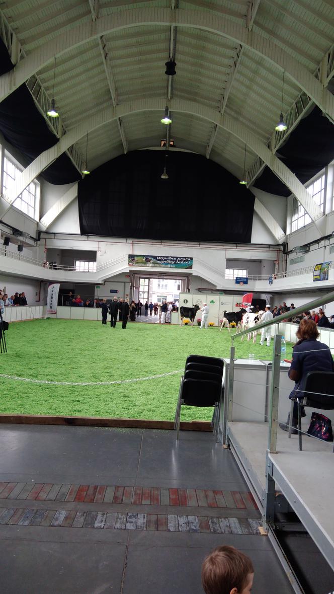 28 Krajowa Wystawa Zwierząt Hodowlanych