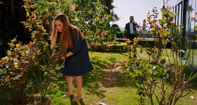 Miłość i nadzieja odc. 295. Sila, Kuzey