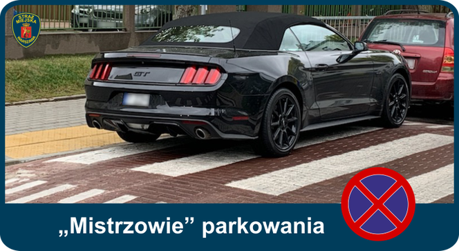 Mistrzowie parkowania. Tak kierowcy parkują w Warszawie