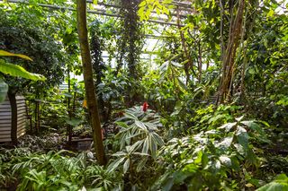 Ogród botaniczny w Warszawie