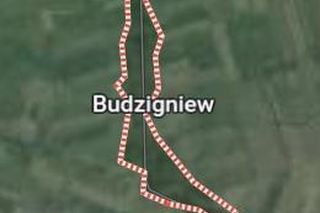 Budzigniew