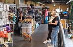 Futrzasty zawrót głowy w Bydgoszczy! Za nami Targi dla Zwierzaków w Gwar Foodhall