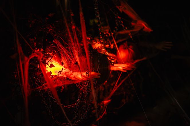 Willa na Jaśkowej Dolinie w Gdańsku