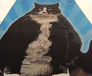 Mural z kotem Gackiem już odsłonięty