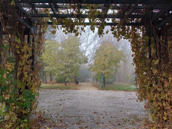 Zamojski Park jesienią