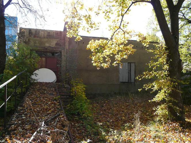 Opuszczony szpital w Zabrzu. Kiedyś świetna lecznica. Teraz odstraszająca ruina