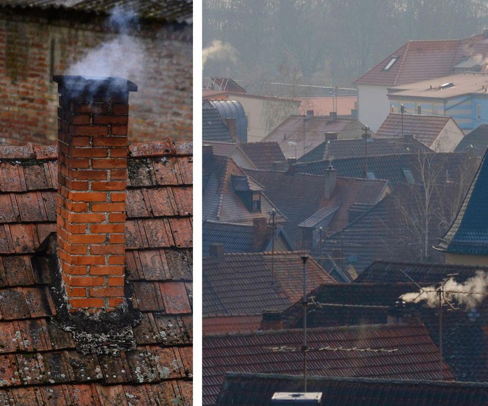 Sąsiad zatruwa ci życie? Umów go z ekodoradcą z Bydgoskiego Alarmu Smogowego