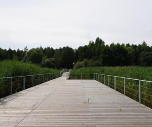 Podlaska Atlantyda, czyli Zalew Siemianówka i okolice