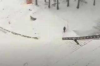 Adam Małysz na skoczni w Karpaczu