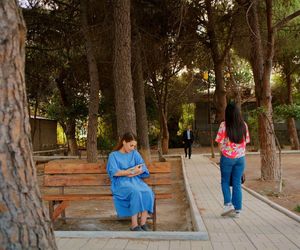 Miłość i nadzieja odc. 266. Kuzey, Bahar, Sila