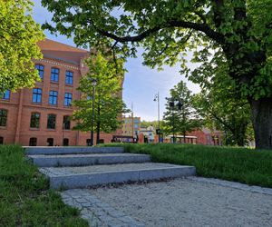 Plac Kościeleckich rozkwita na wiosnę. Bydgoszczanie chętnie wybierają go na spacer