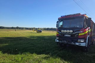 Tragedia na drodze. Wjechał w krowę motocyklem. Zwierzę nie żyje, lądował śmigłoiwec LPR