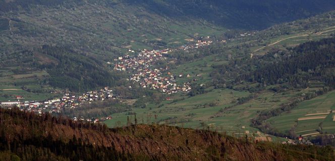 Żabnica