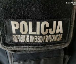 Gostyń. W lesie znaleziono niewybuchy. Ktoś je tam porzucił. Szuka go policja