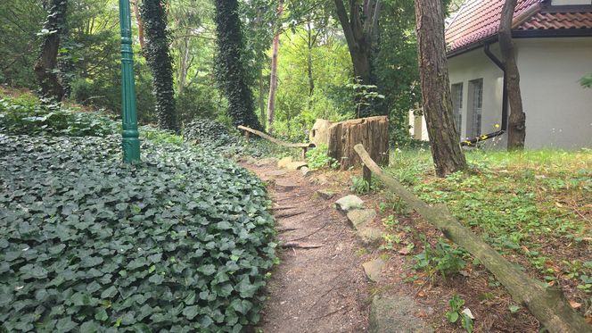 Letni spacer w zielonym sercu Bydgoszczy. Ogród Botaniczny UKW zaprasza!