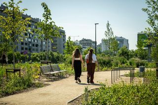 Park linearny na Ursynowie