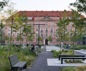 Życie w Architekturze 2025. Zielenienie Placu Nowy Targ we Wrocławiu. Roman Rutkowski Architekci & a+f projektowanie przestrzeni