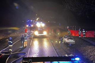  Śmiertelny wypadek pod Opocznem na drodze krajowej nr 12! Kierowca osobówki zginął w zderzeniu z ciężarówką [ZDJĘCIA]