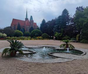 To jeden z najpiękniejszych ogrodów botanicznych w Polsce. Znajduje się na Dolnym Śląsku 