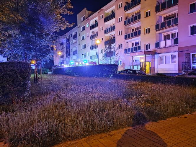 Podczas gaszenia pożaru w Głogowie strażacy znaleźli materiały wybuchowe