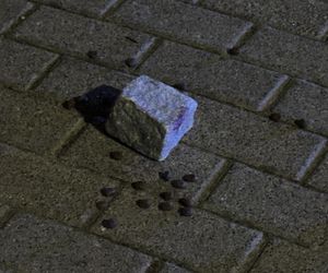 Napadał na seniorki w Warszawie. Wreszcie wpadł w ręce policji 