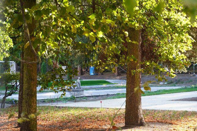 Remont Różanki w białostockim Parku Planty