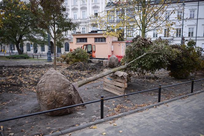 Sadzenie drzew na placu Trzech Krzyży