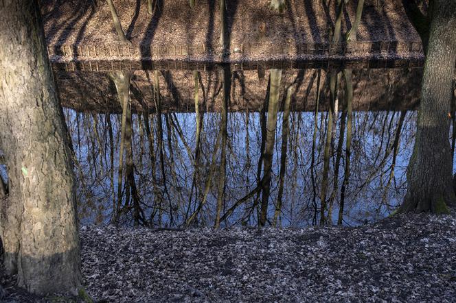 Park Tysiąclecia w Toruniu